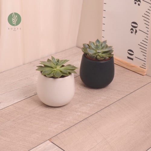 وعاء صباريات