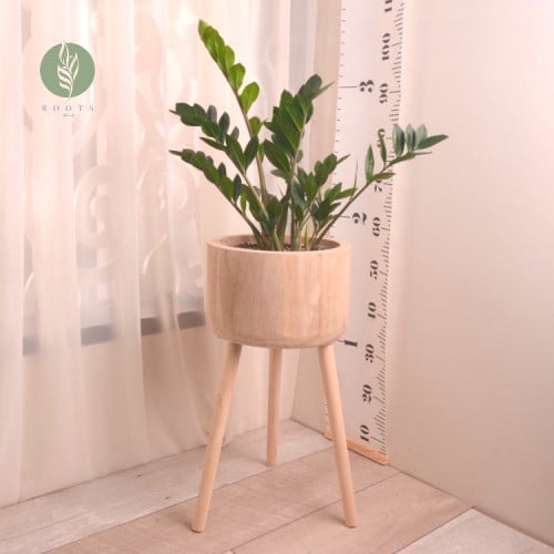 زاميا مع حوض خشبي أنيق