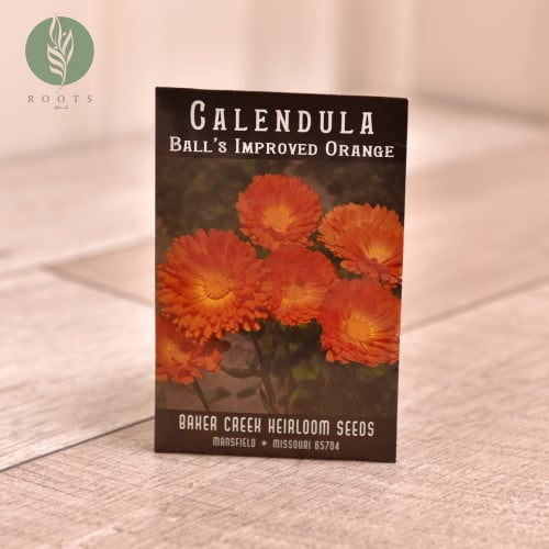 زهور كالندواا calendula ball improved orange