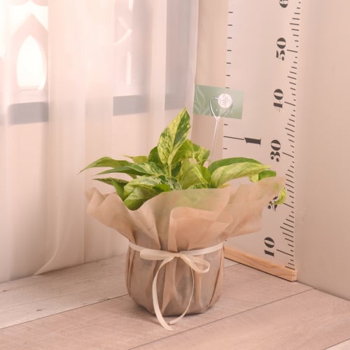 سكندابسس ماربل كوين مع حوض سيراميك رمادي