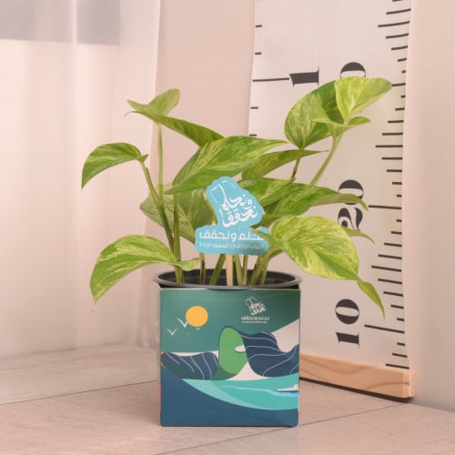 بوتس ماربل كوين توزيعات اليوم الوطني السعودي94