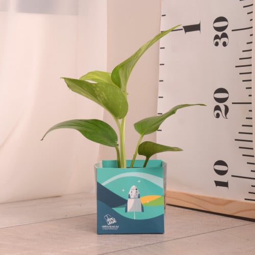 بوتس صغير توزيعات اليوم الوطني السعودي94