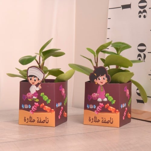 توزيعات نبتة الببروميا مع علبة القرقيعان