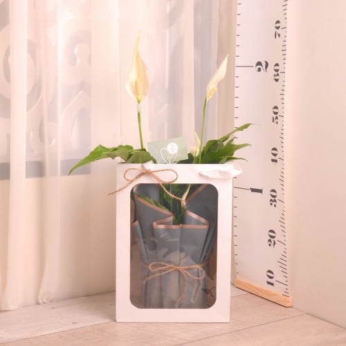 الأشرعة البيضاء مع حوض سيراميك  أبيض