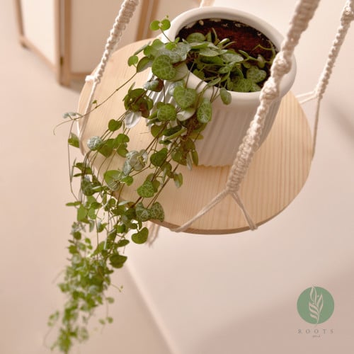 سلسلة القلوب0string of heart