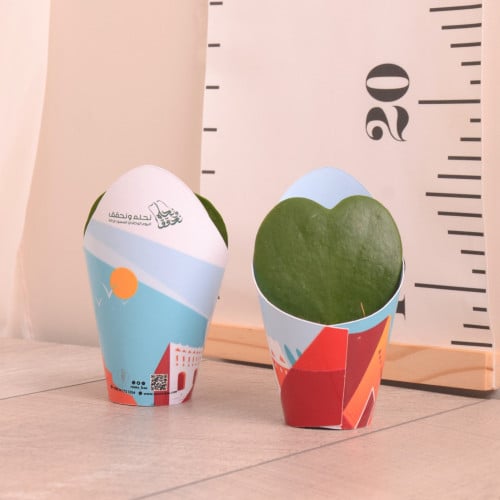 هويا كيري القلب