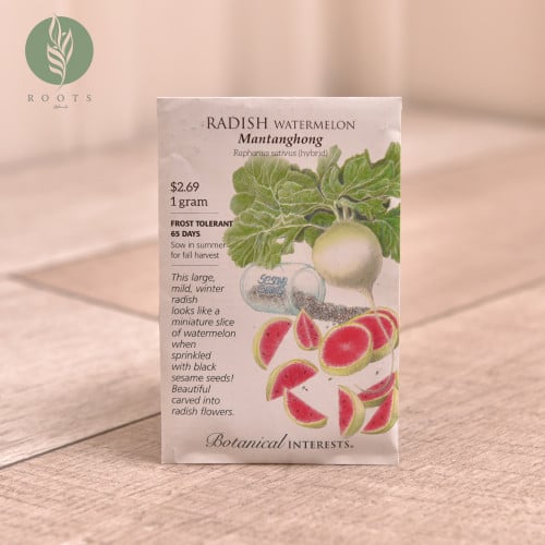فجل Radish watermelon