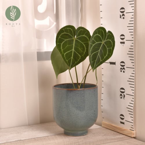 وعاء سيراميك أزرق