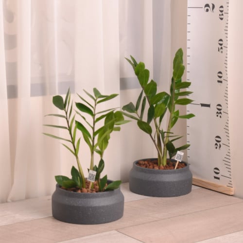 زاميا مع حوض سيراميك رمادي أنيق