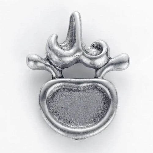 Vertebrae broch