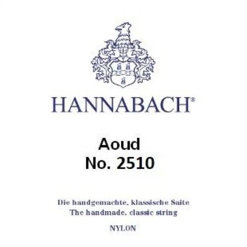 أوتار هناباخ الاقتصادية 2510