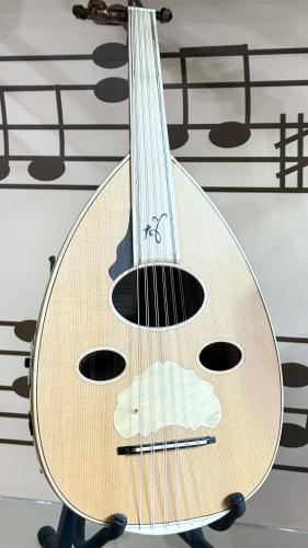 عود زرياب هجين موديل (8)