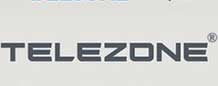 تليزون