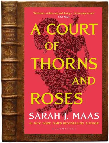 A COURT OF THORNS AND ROSES