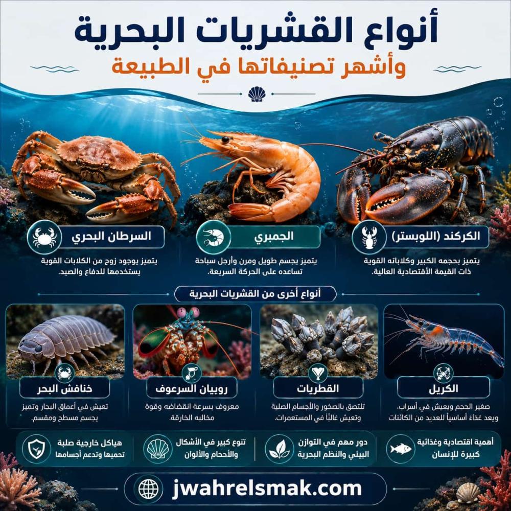 أنواع القشريات البحرية وأشهر تصنيفاتها في الطبيعة