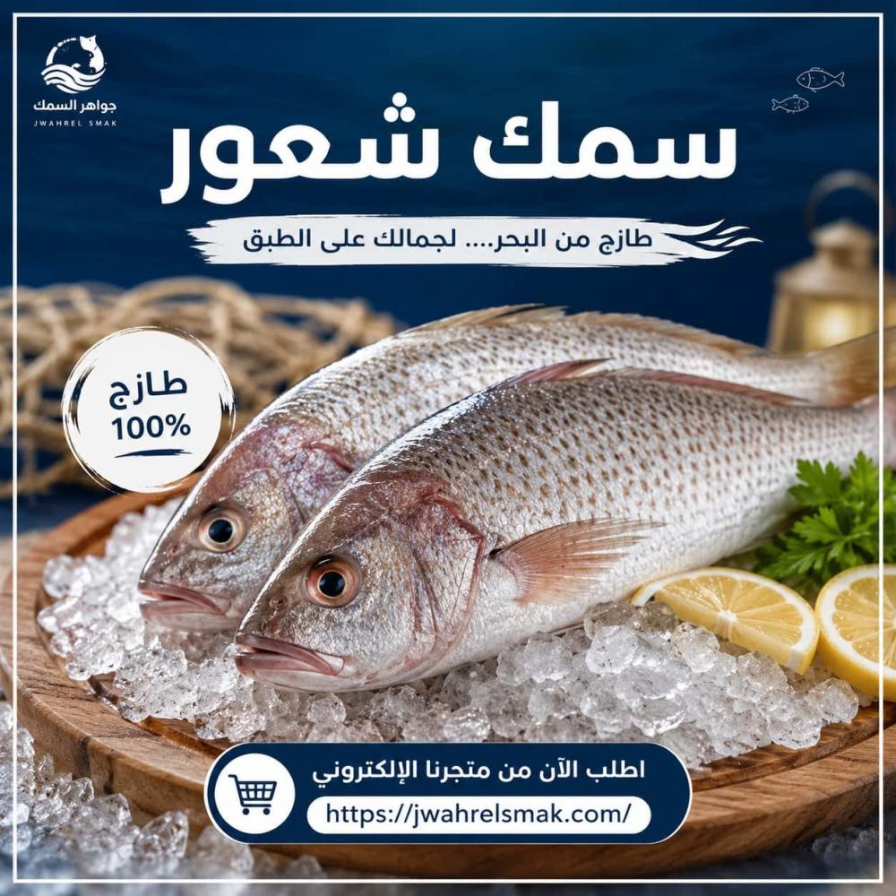 سمك شعور طازج | اطلب أجود أنواع سمك الشعور أونلاين