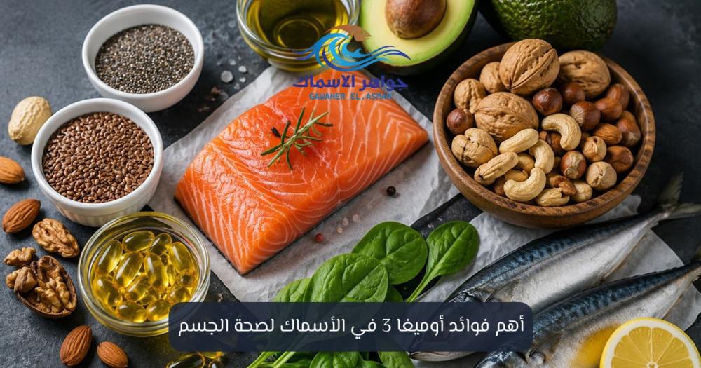 أهم فوائد أوميغا 3 في الأسماك لصحة الجسم