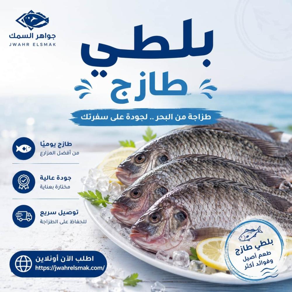 بلطي طازج | سمك بلطي طازج بجودة عالية وتوصيل سريع