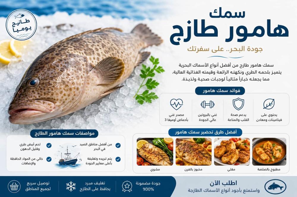 سمك هامور طازج غني بالفوائد وطعم لا يقاوم - جواهر الاسماك