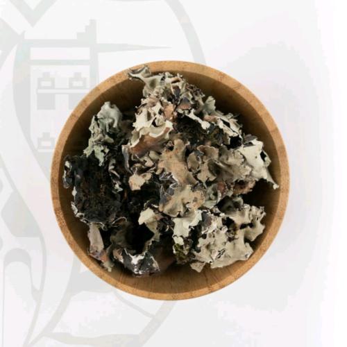 اشنه