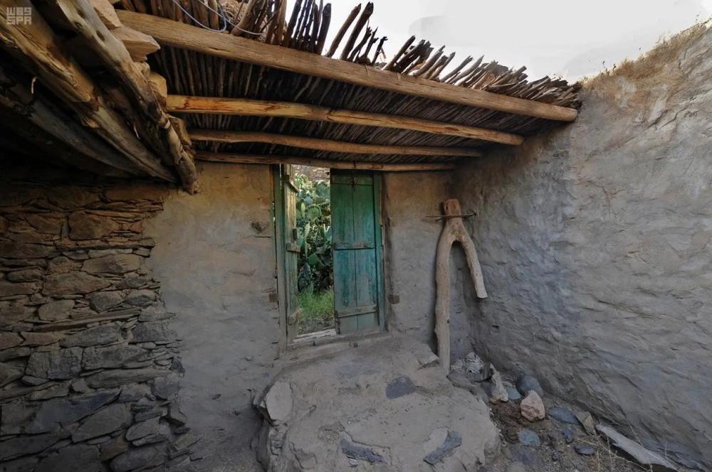 شجرة العرعر ،  أيقونة السياحة في عسير