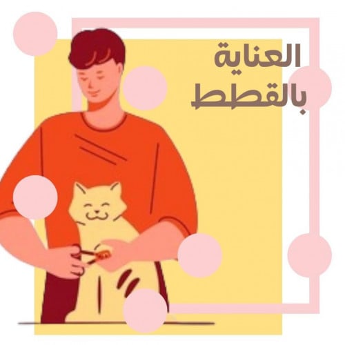 حلاقة قطة