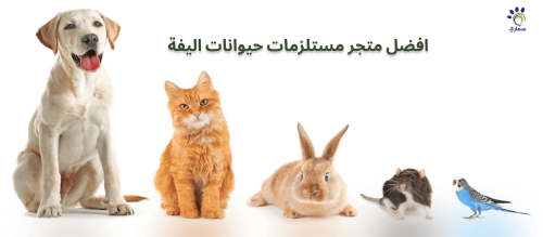متجر مستلزمات حيوانات أليفة بخدمات مميزة لاليفك