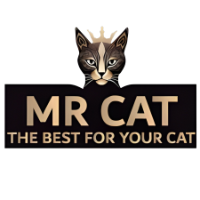 مستر كات - MR CAT