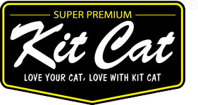 كيت كات - Kit cat