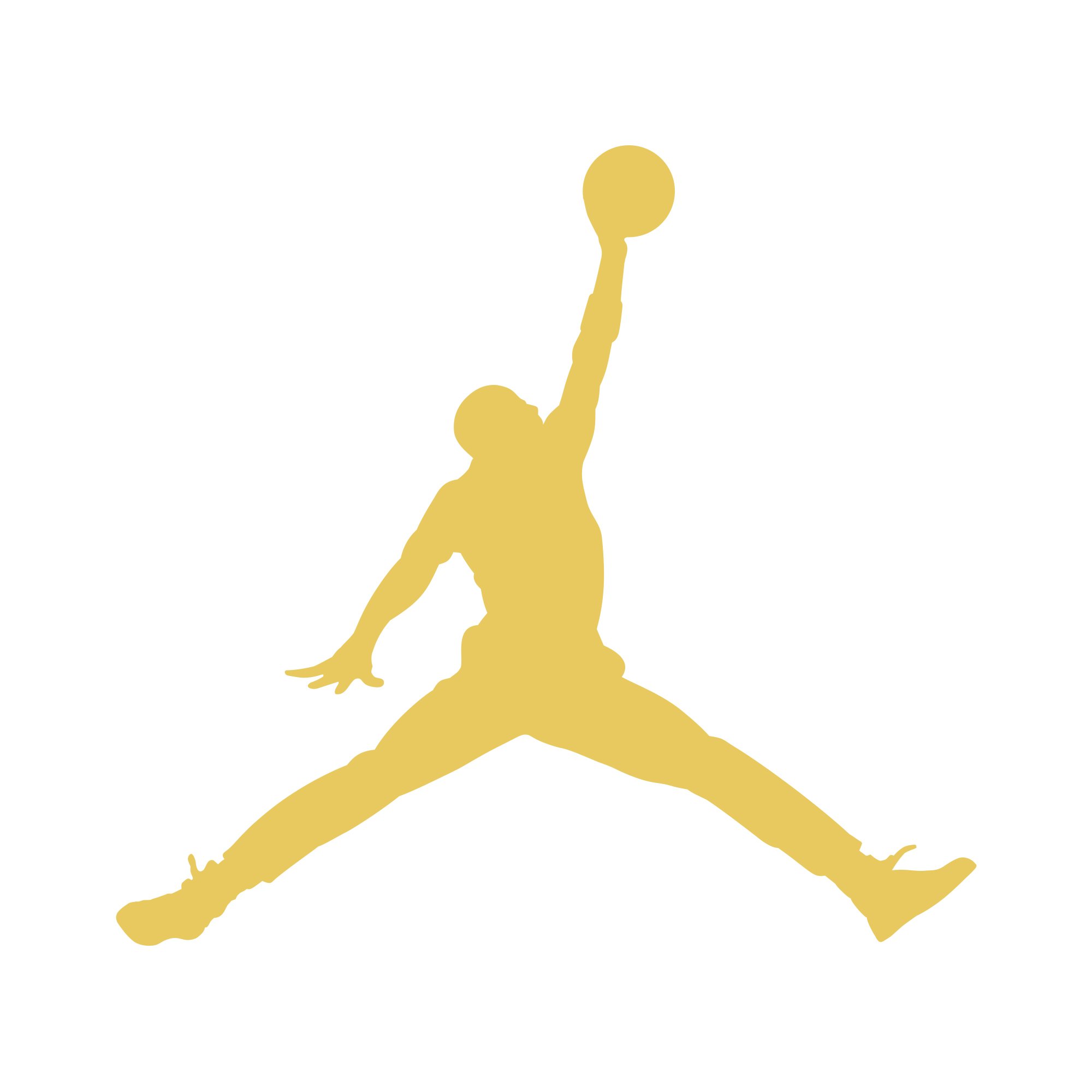 Air Jordan