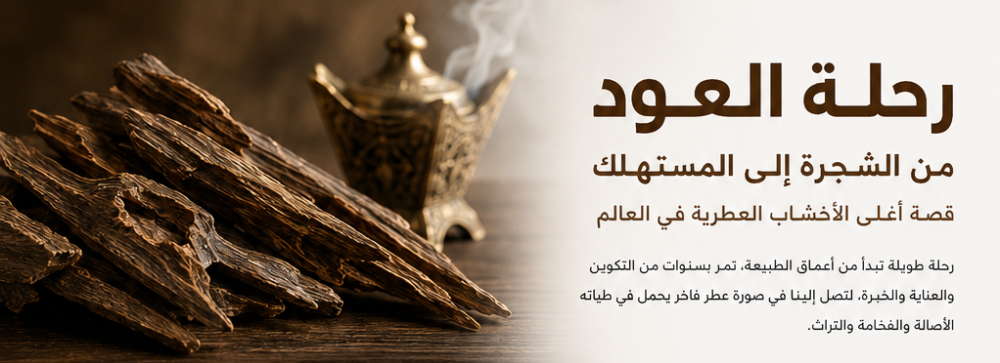 رحلة العود من الشجرة الى المستهلك