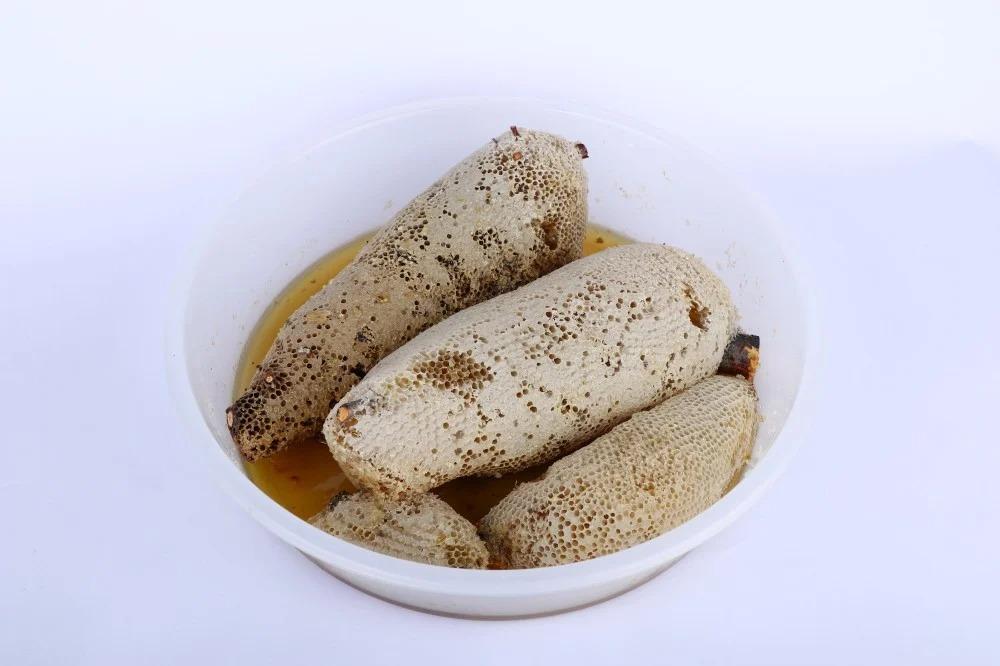 شمع جبلي