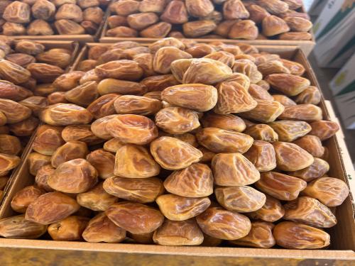 مفتل معرم
