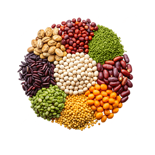 حبوب