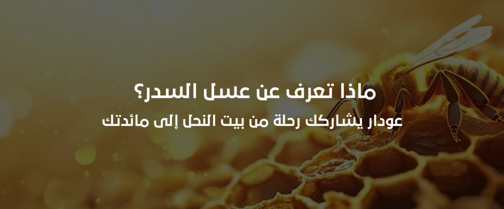 عسل السدر البلدي