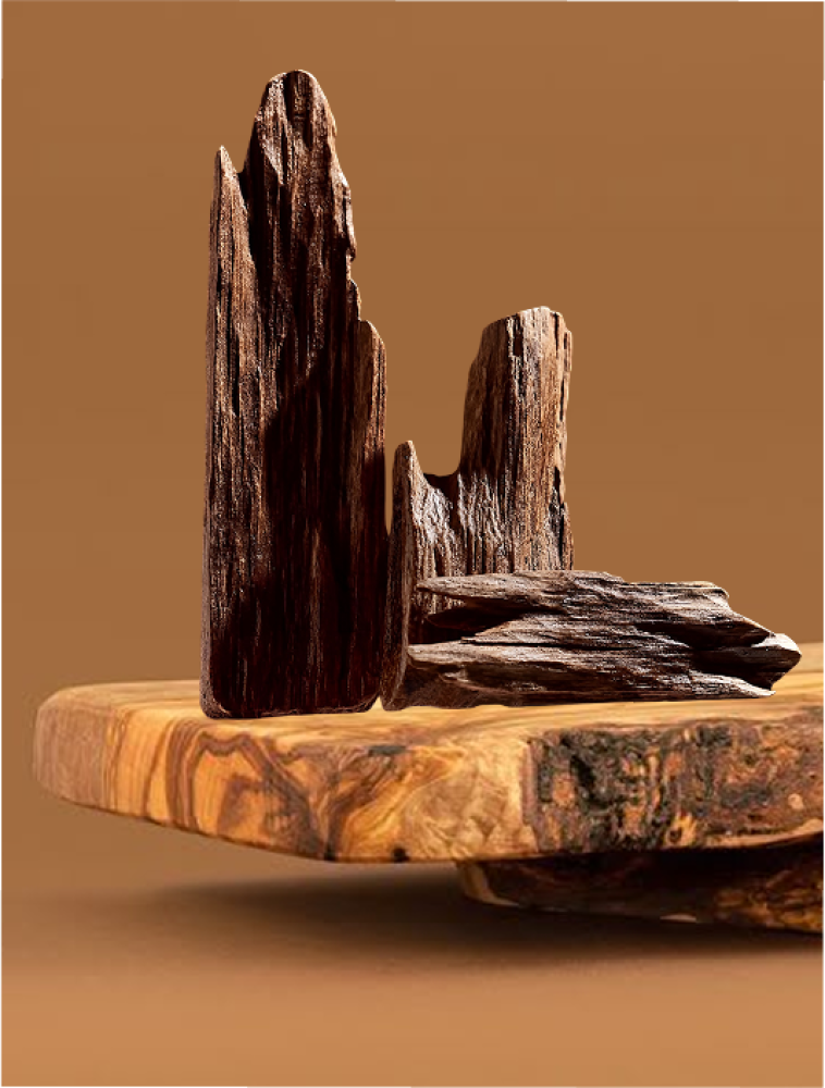 عود كلمنتان... عبيرٌ نادر لعشاق الأصالة