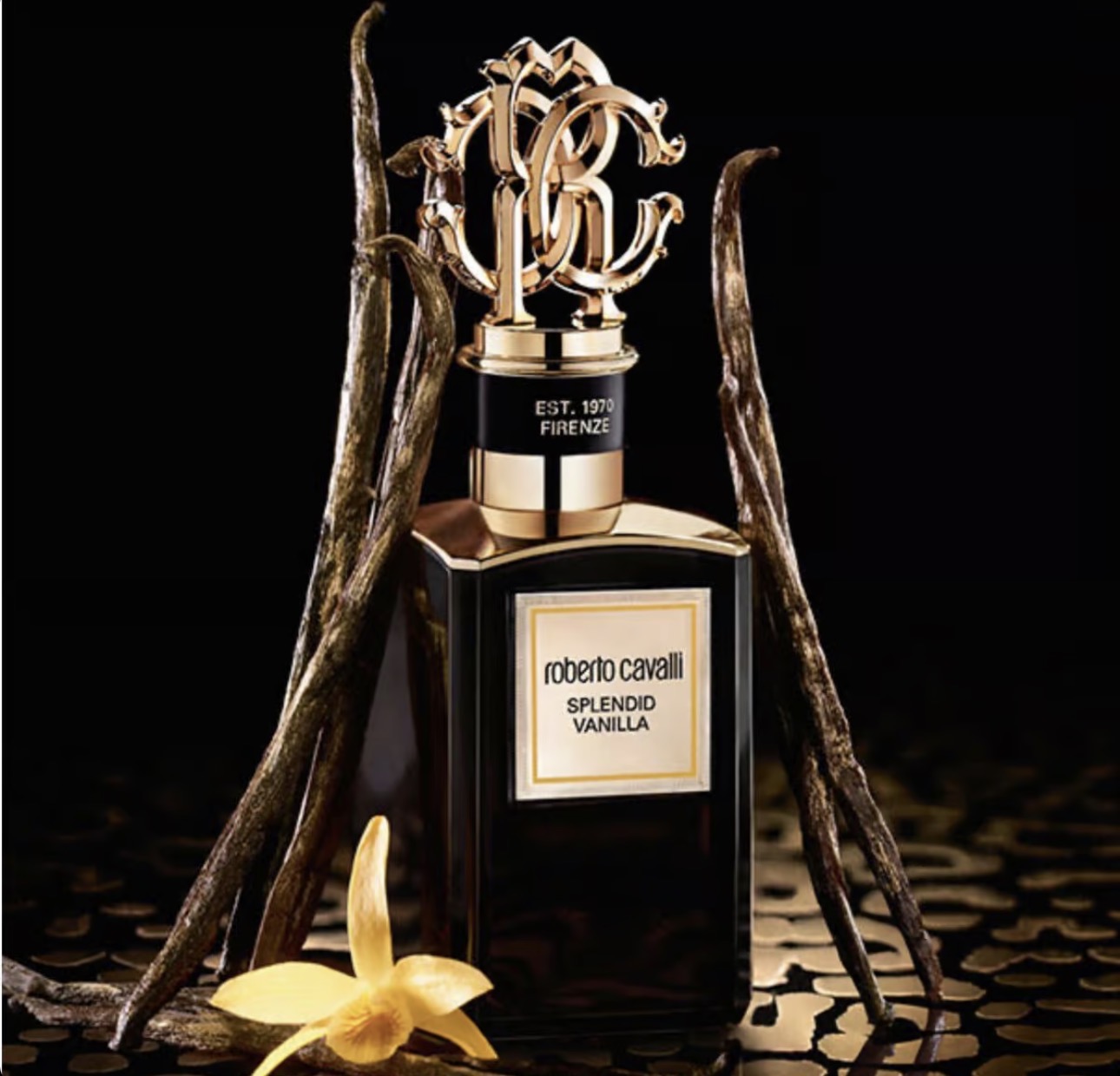 Roberto Cavalli