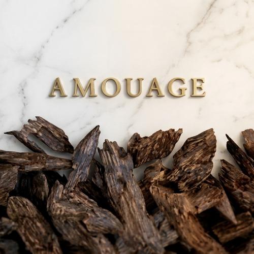 Saffron Hamra Amouage 12 ML - ريسان عطور أصلية في السعودية نيش