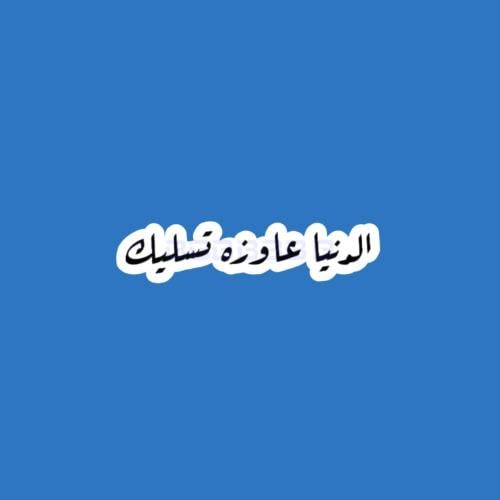 ستيكر الدنيا عاوزه تسليك