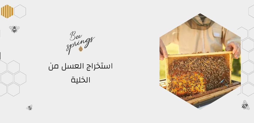كيف يتم استخراج العسل من الخلية كيف يتم استخراج العسل من الخلية