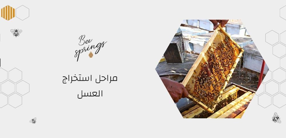 مراحل استخراج العسل