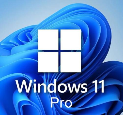 ويندوز 11 برو | Windows 11 Pro