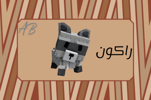 راكون