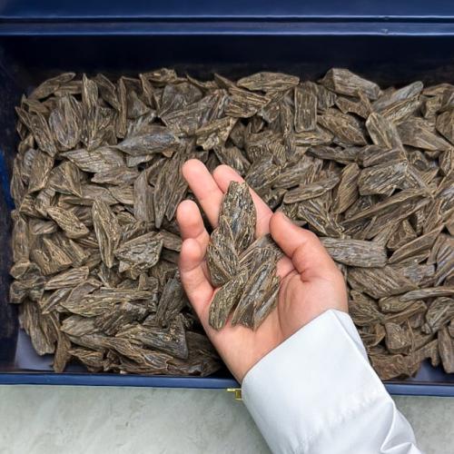دقة كلمنتان ( العود الأزرق )