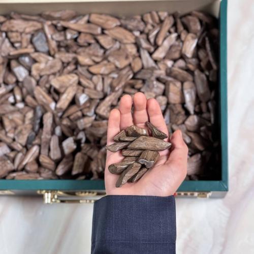 مروكي الشيوخ