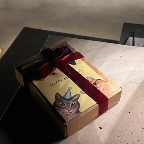 بطاقة عيد الميلاد / birthday card