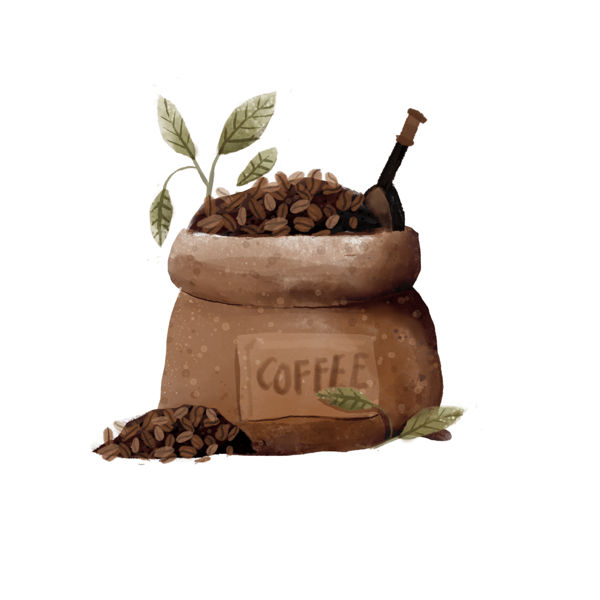 حبوب القهوة