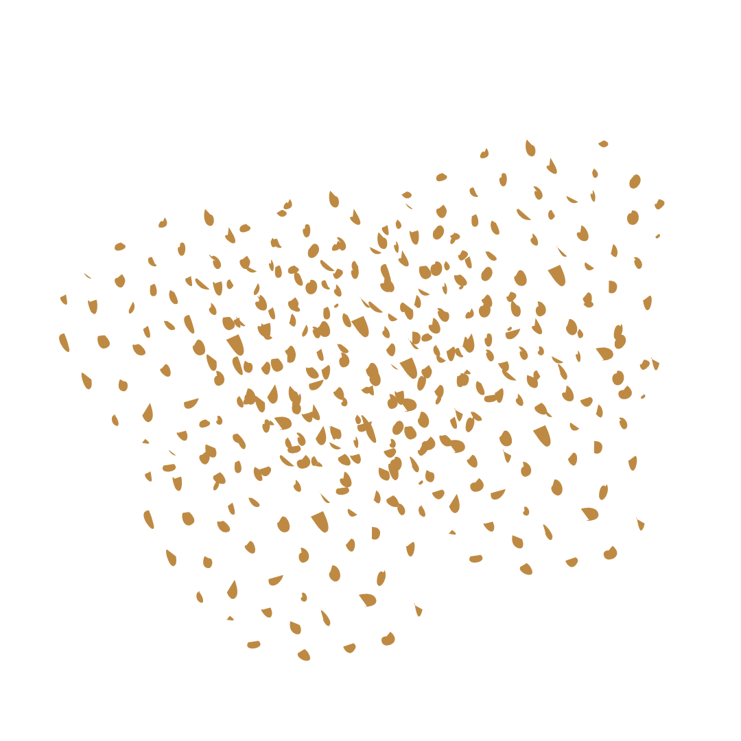 رقائق البسكويت