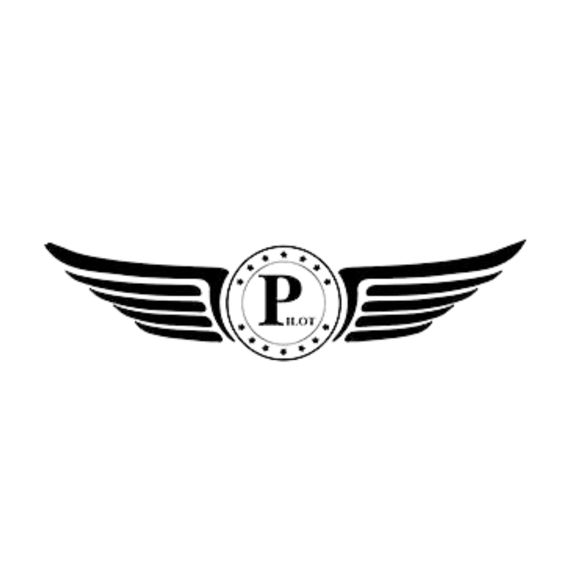 بايلوت - Pilot