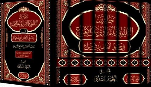 حاشيتا القليوبي والنبراوي على الاقناع في حل الفاظ...